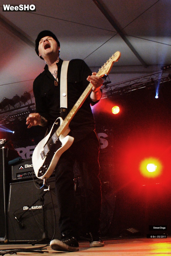 6/14 photos du spectacle Street Dogs