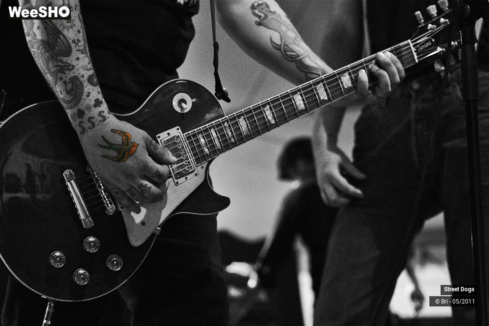 8/14 photos du spectacle Street Dogs