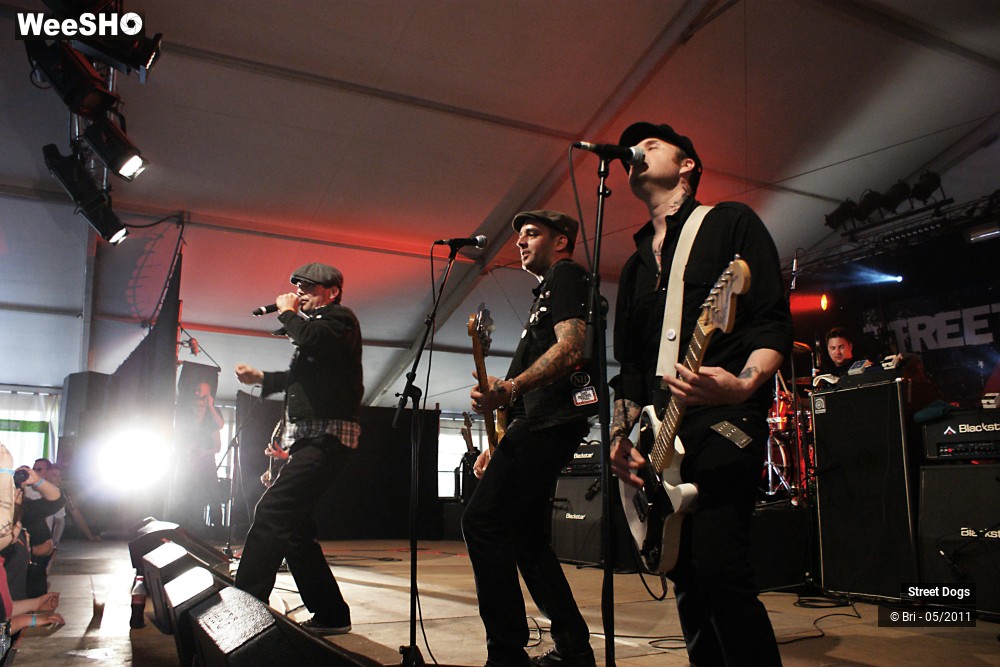 9/14 photos du spectacle Street Dogs