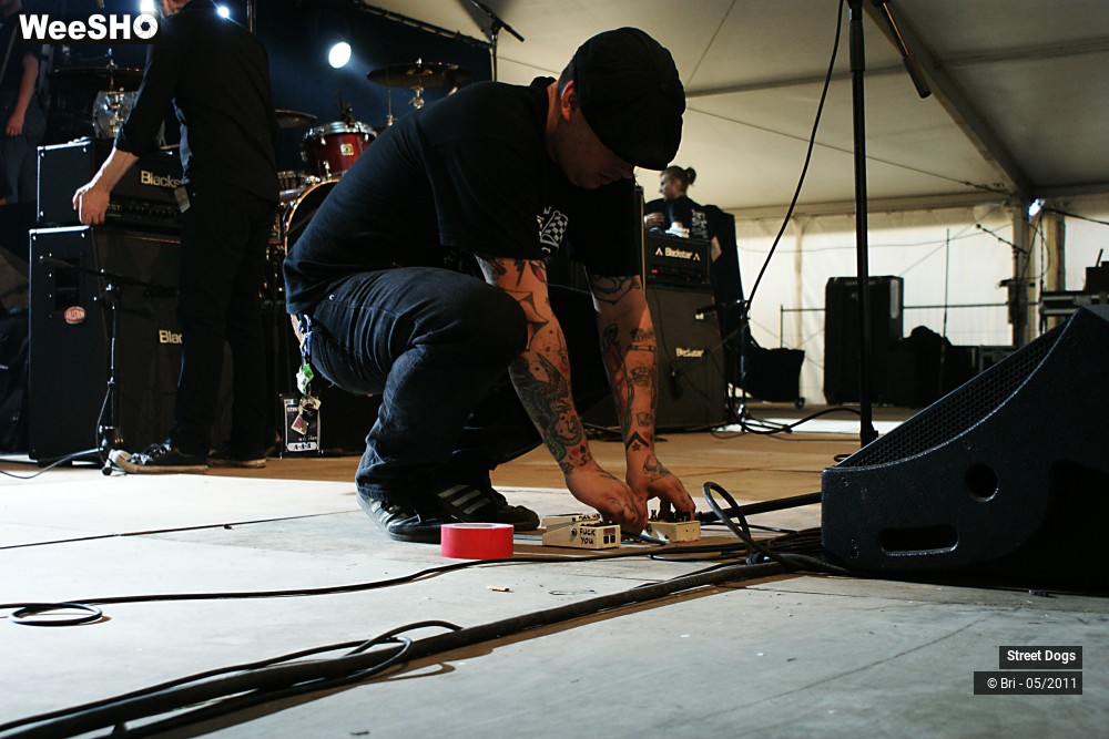 10/14 photos du spectacle Street Dogs