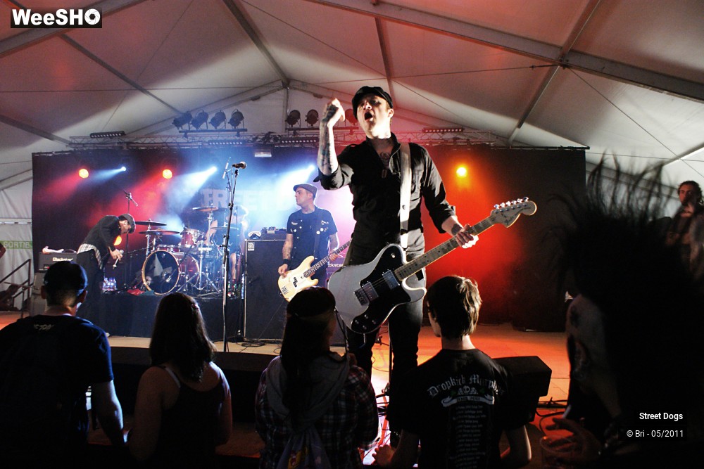 11/14 photos du spectacle Street Dogs