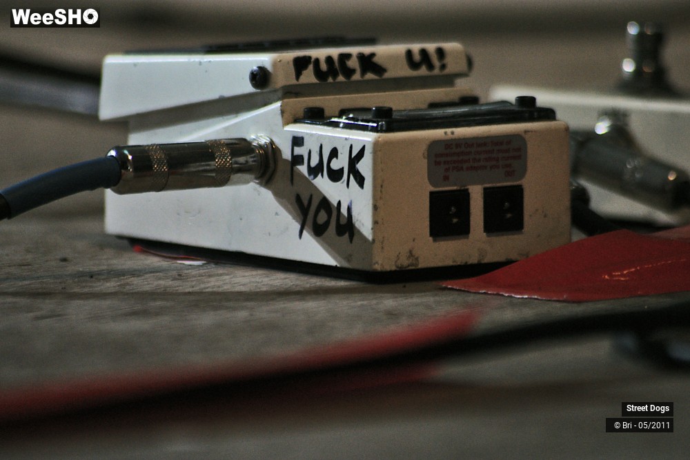 12/14 photos du spectacle Street Dogs