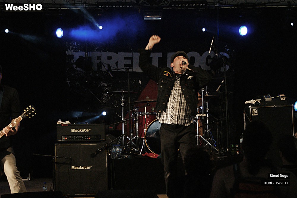 14/14 photos du spectacle Street Dogs