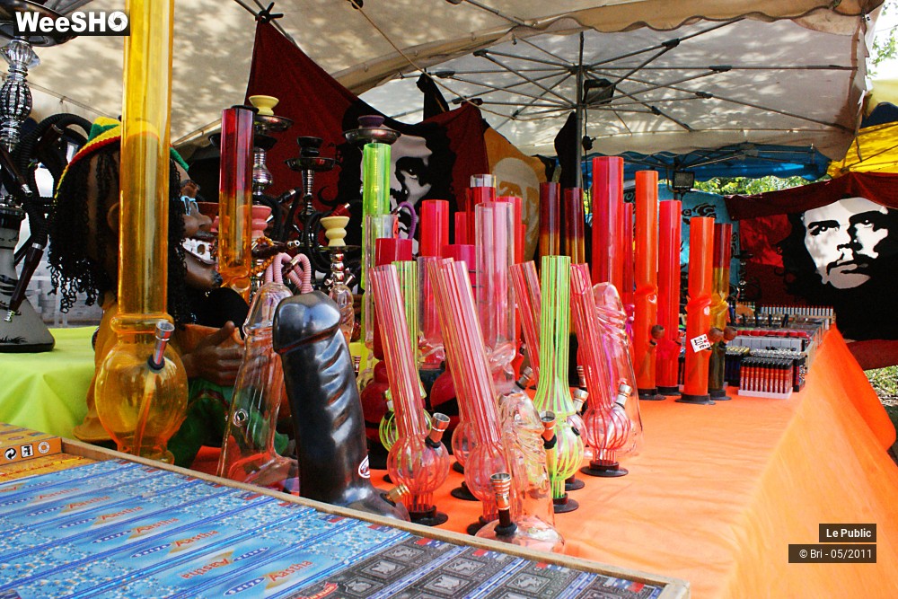 43/45 photos du spectacle Festival Zikenstock Ambiance