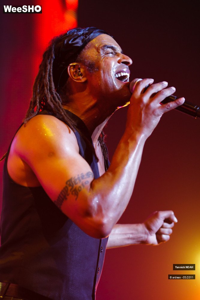 11/47 photos du spectacle Yannick NOAH