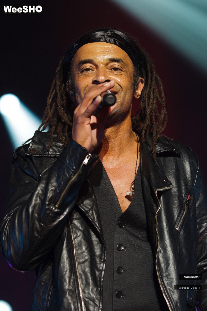14/47 photos du spectacle Yannick NOAH