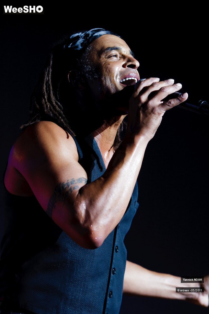 24/47 photos du spectacle Yannick NOAH