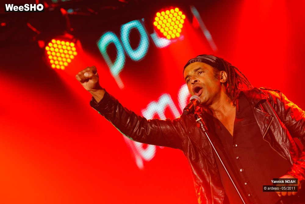 47/47 photos du spectacle Yannick NOAH