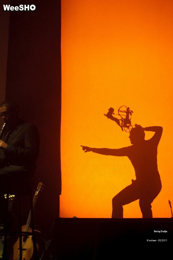 2/41 photos du spectacle Swing Gadgé