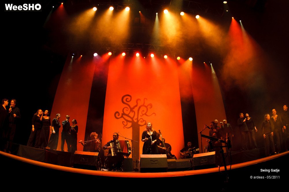 30/41 photos du spectacle Swing Gadgé