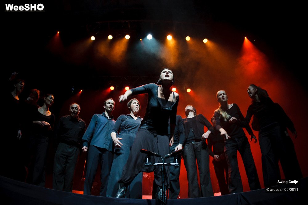 32/41 photos du spectacle Swing Gadgé