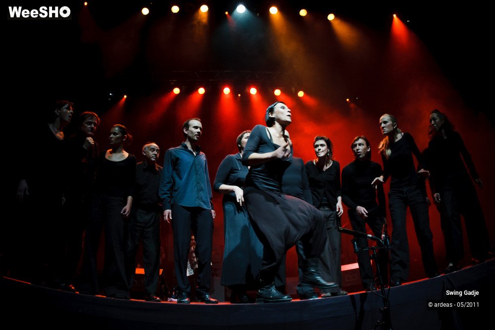 34/41 photos du spectacle Swing Gadgé