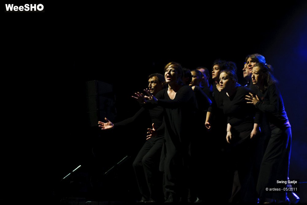 35/41 photos du spectacle Swing Gadgé
