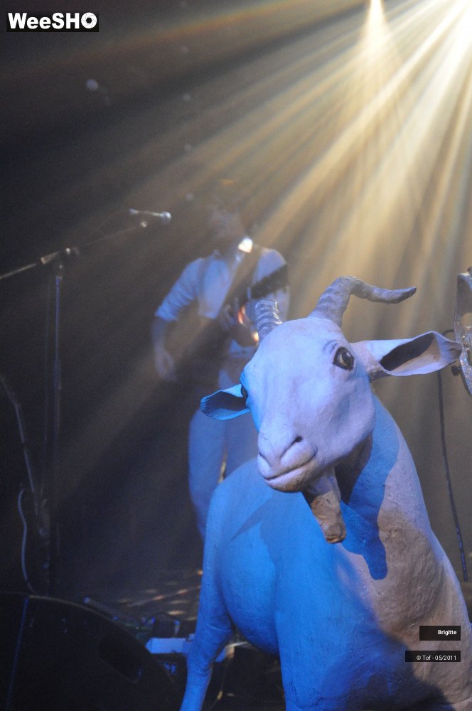 25/26 photos du spectacle Brigitte