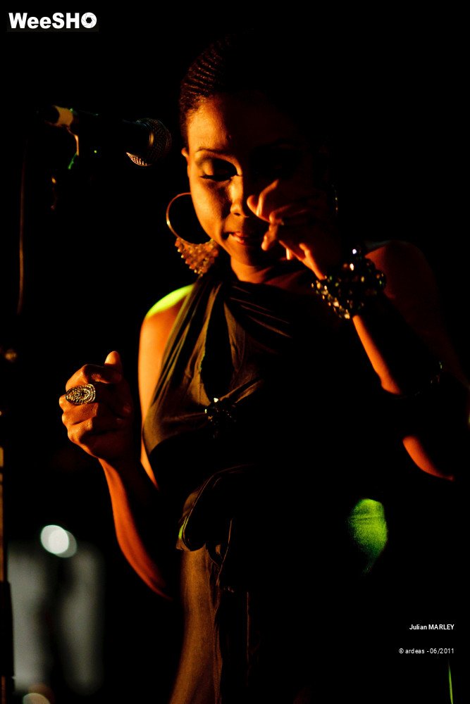 13/31 photos du spectacle Julian MARLEY