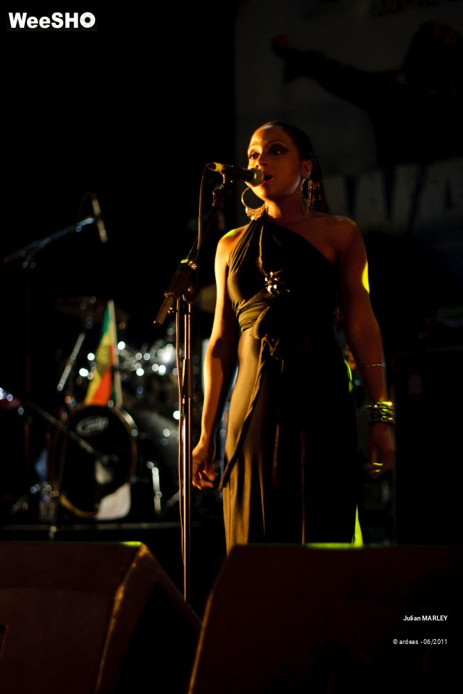 15/31 photos du spectacle Julian MARLEY