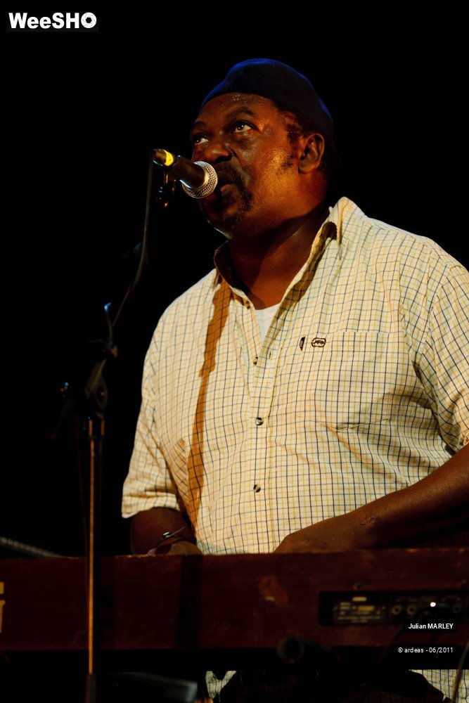 19/31 photos du spectacle Julian MARLEY