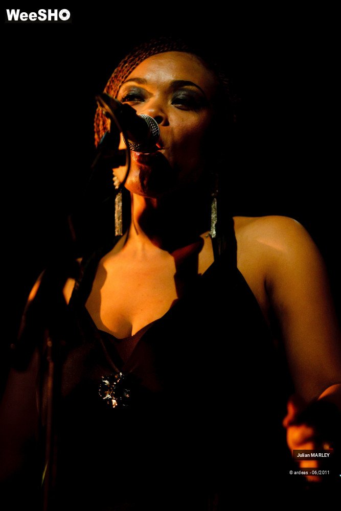 28/31 photos du spectacle Julian MARLEY