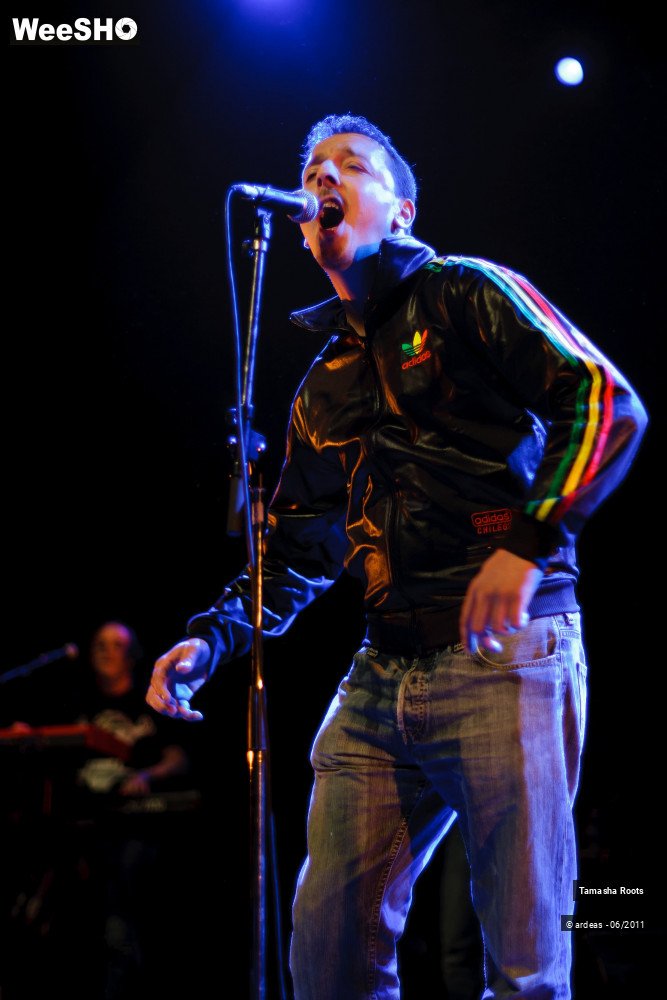 2/26 photos du spectacle Tamasha Roots