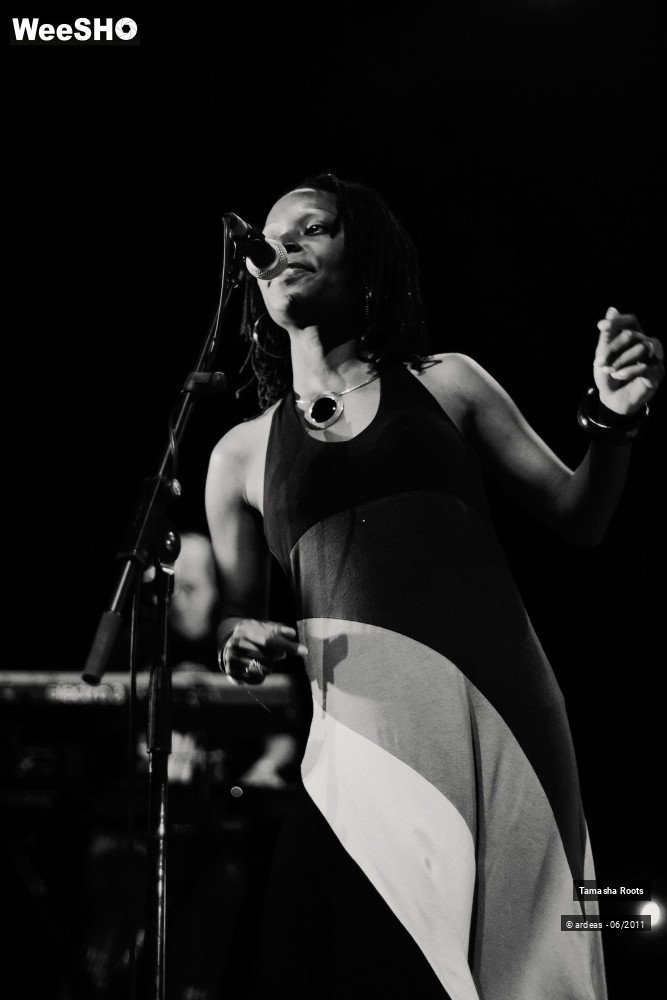 6/26 photos du spectacle Tamasha Roots