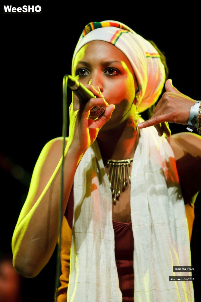 7/26 photos du spectacle Tamasha Roots