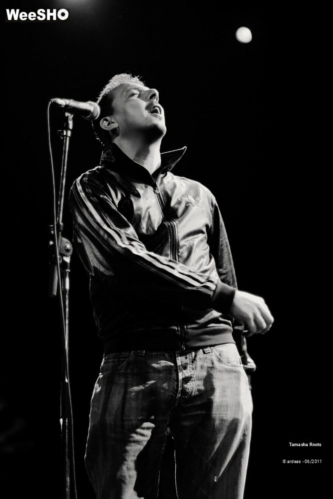 10/26 photos du spectacle Tamasha Roots