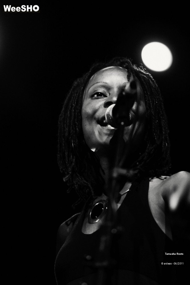 12/26 photos du spectacle Tamasha Roots