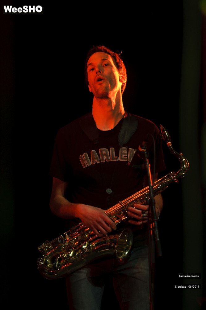 13/26 photos du spectacle Tamasha Roots