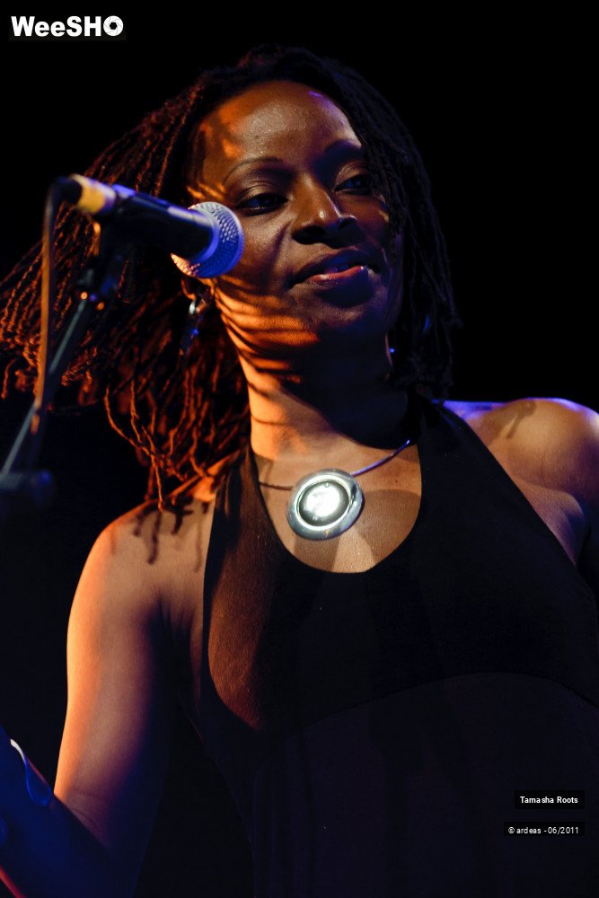 14/26 photos du spectacle Tamasha Roots