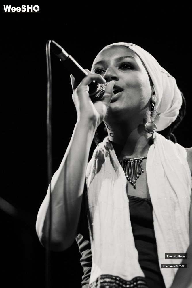 17/26 photos du spectacle Tamasha Roots