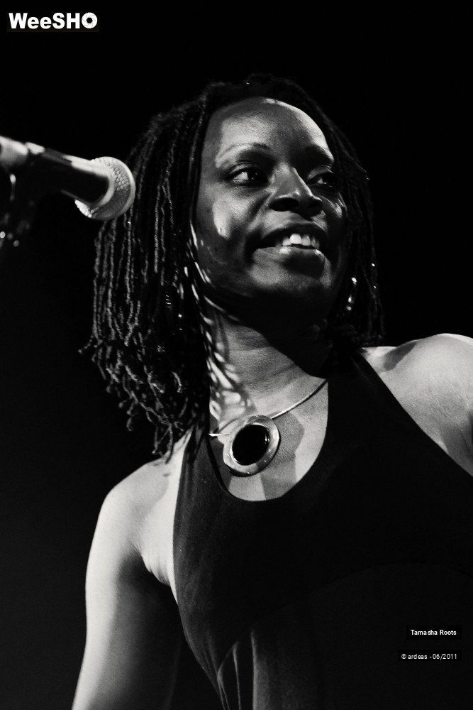 20/26 photos du spectacle Tamasha Roots