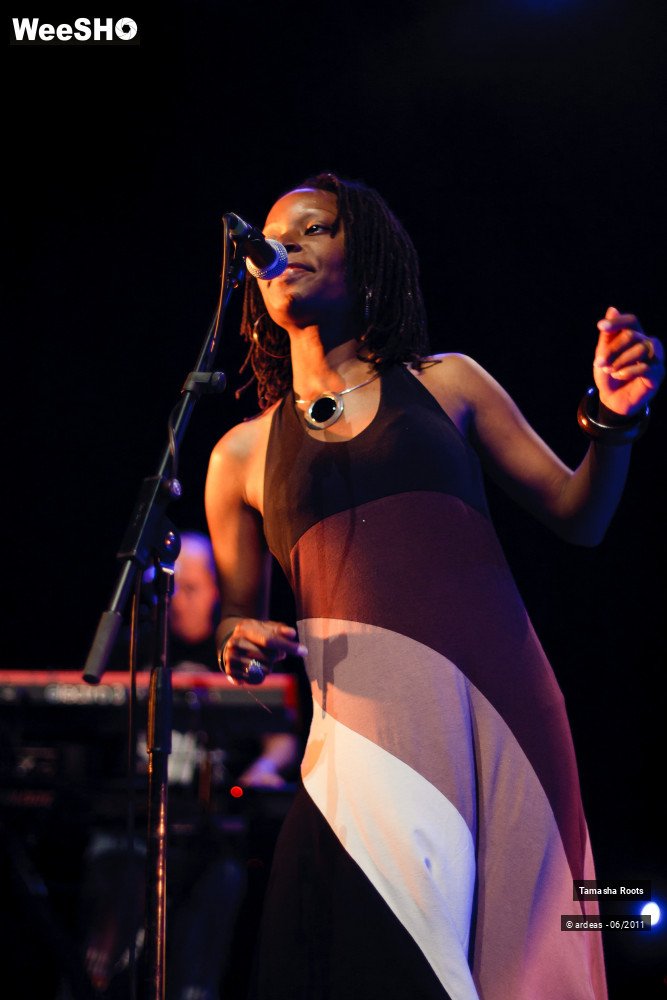 22/26 photos du spectacle Tamasha Roots