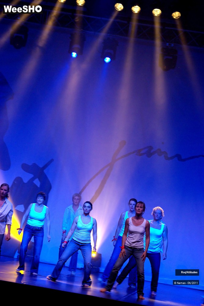 16/50 photos du spectacle De Gainsbourg à Gainsbarre