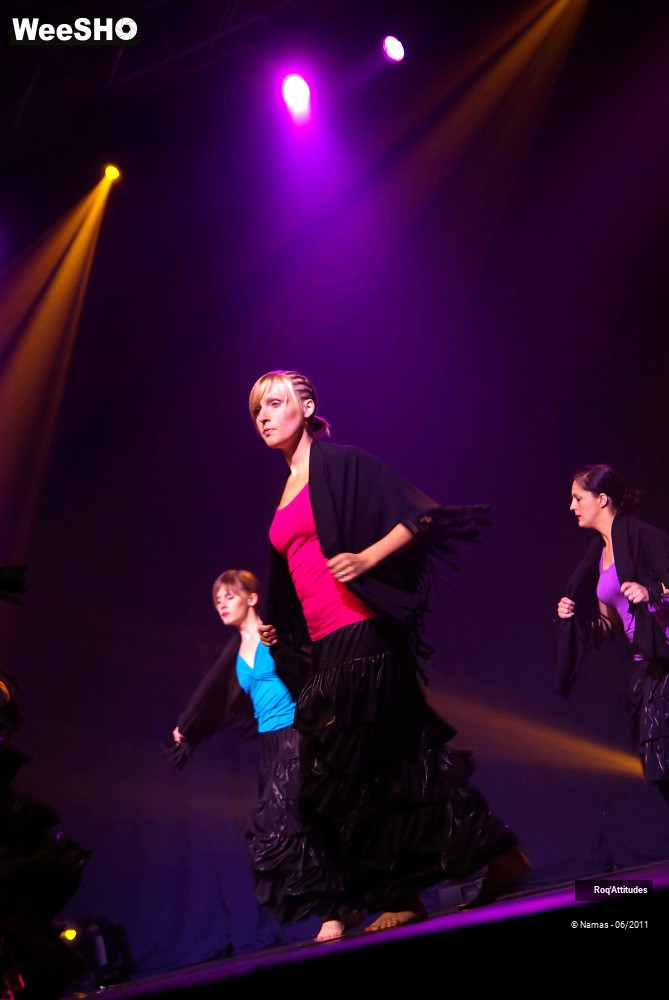 21/39 photos du spectacle Jazz Adultes