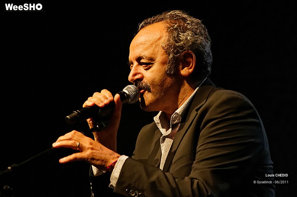 3/37 photos du spectacle Louis CHEDID