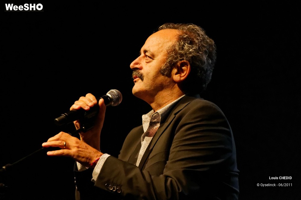 6/37 photos du spectacle Louis CHEDID