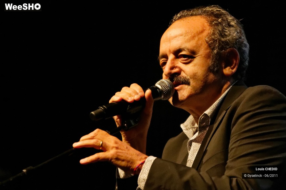 8/37 photos du spectacle Louis CHEDID
