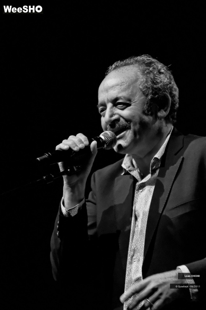 10/37 photos du spectacle Louis CHEDID