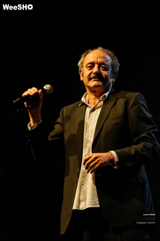 12/37 photos du spectacle Louis CHEDID