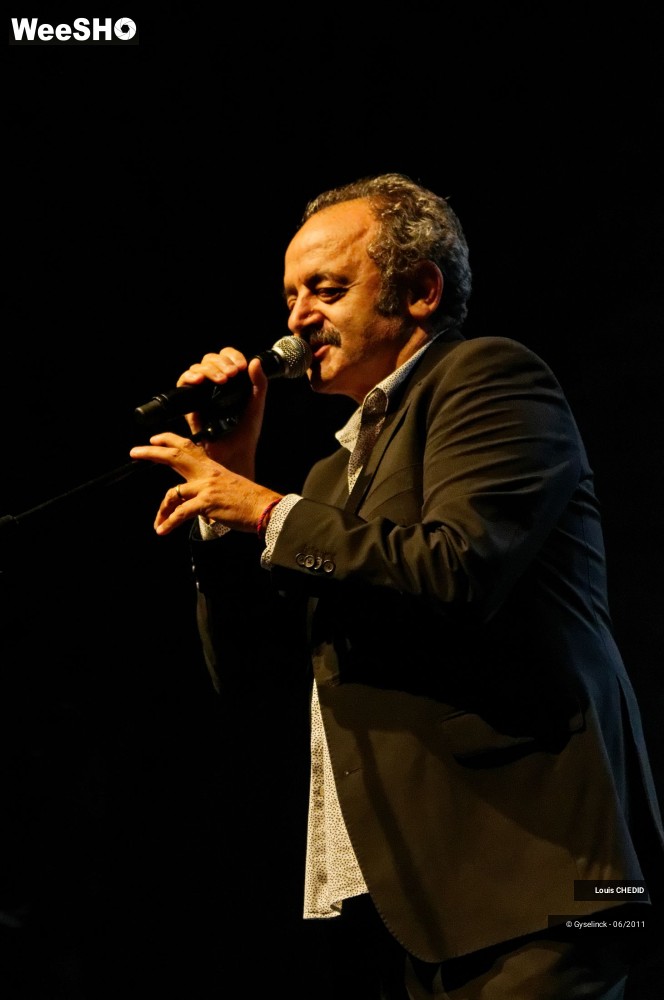 13/37 photos du spectacle Louis CHEDID