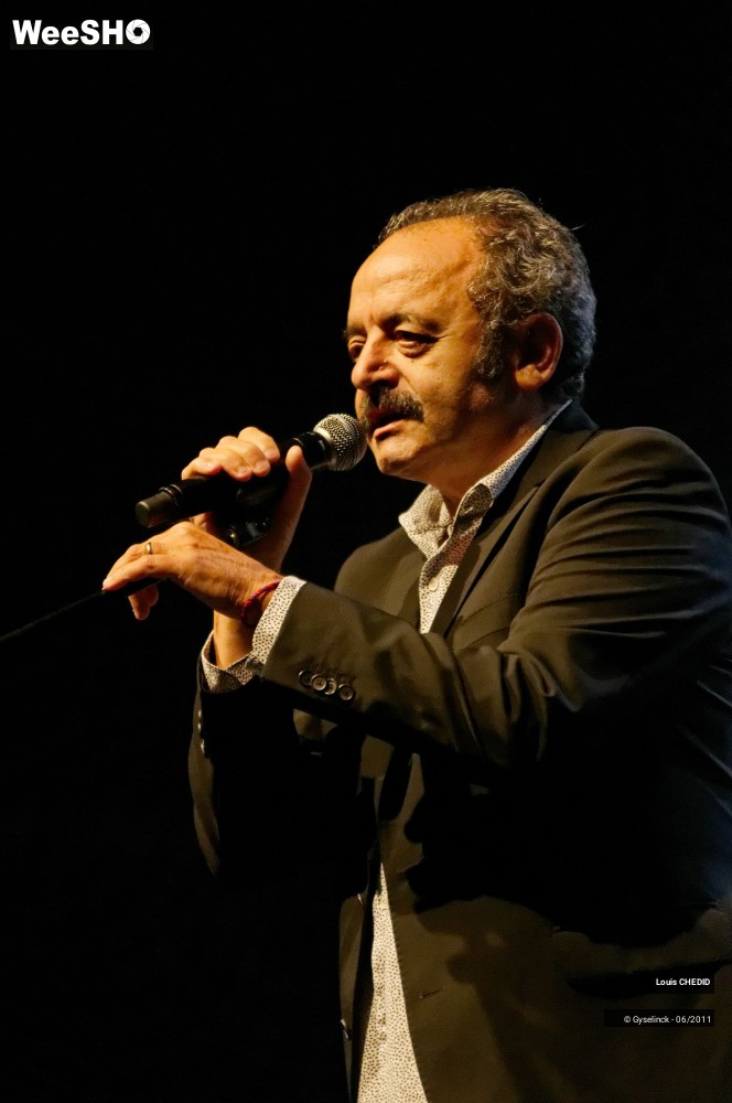 14/37 photos du spectacle Louis CHEDID