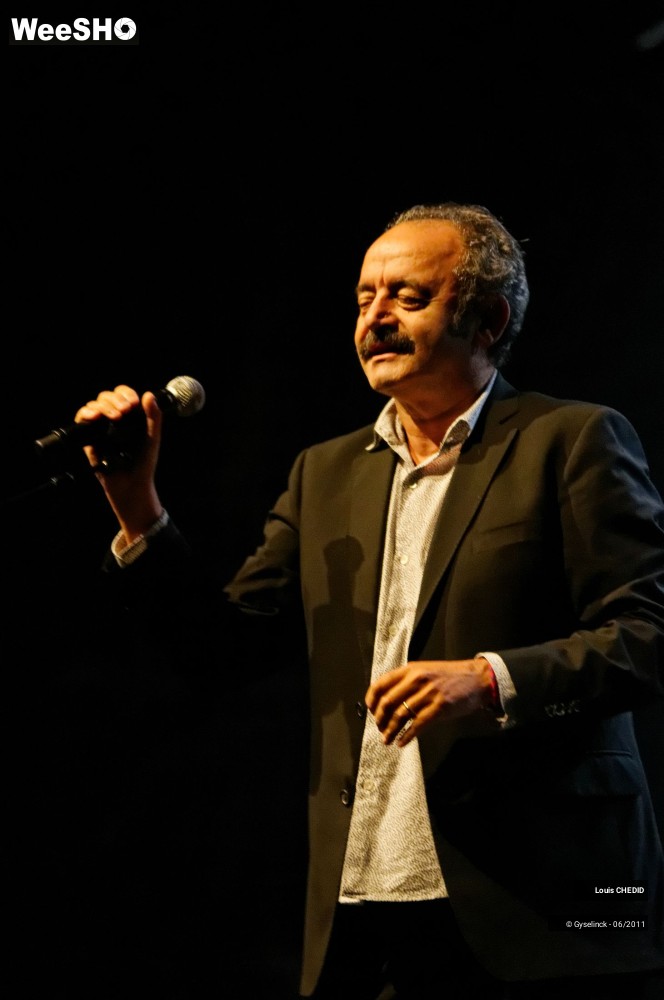 18/37 photos du spectacle Louis CHEDID