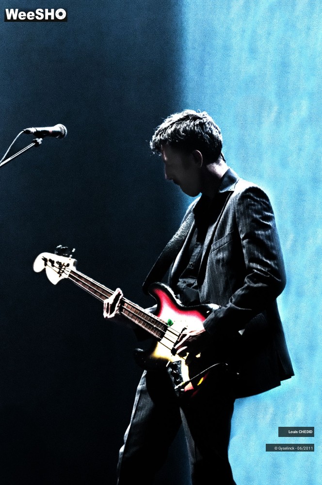 19/37 photos du spectacle Louis CHEDID