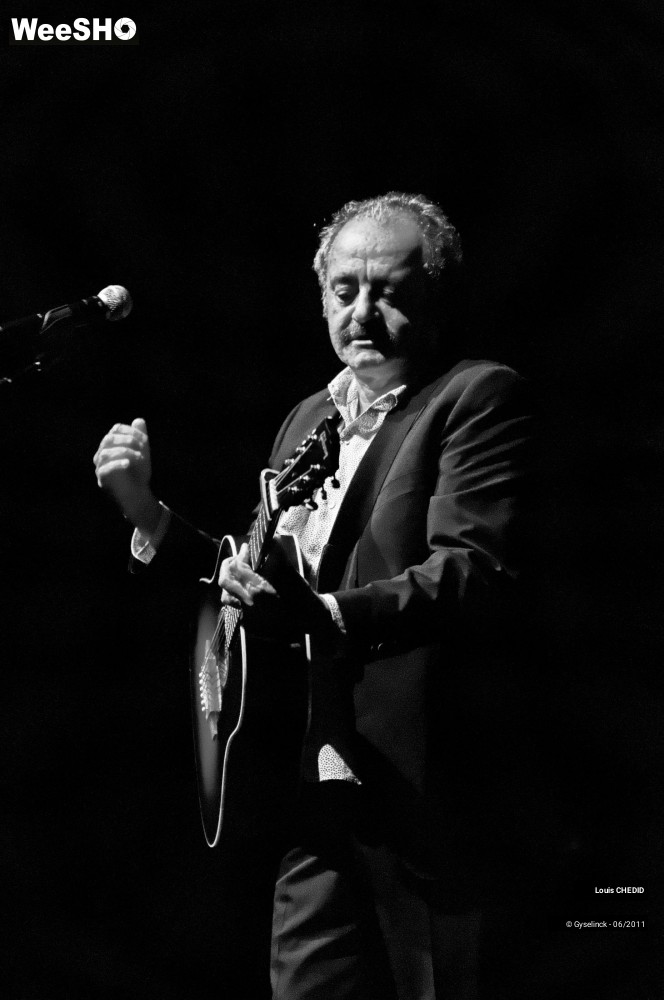 20/37 photos du spectacle Louis CHEDID