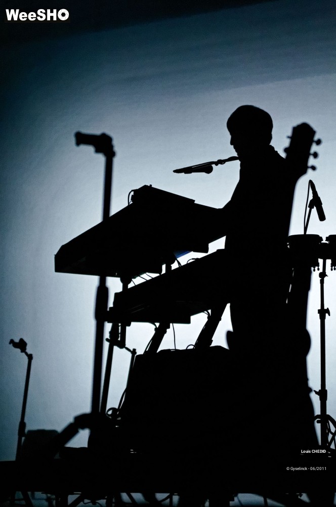 21/37 photos du spectacle Louis CHEDID