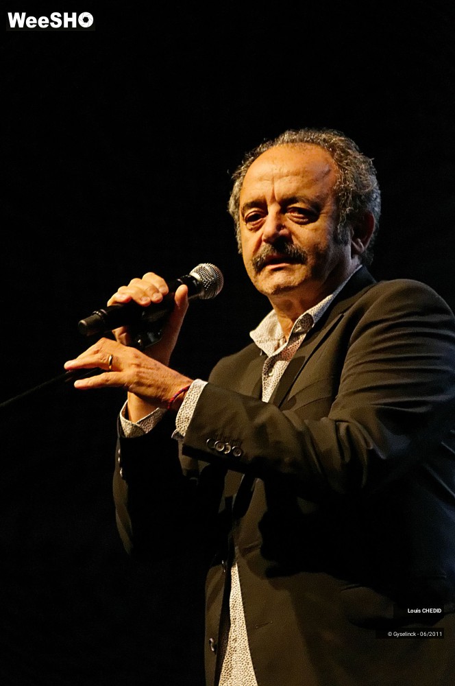 23/37 photos du spectacle Louis CHEDID