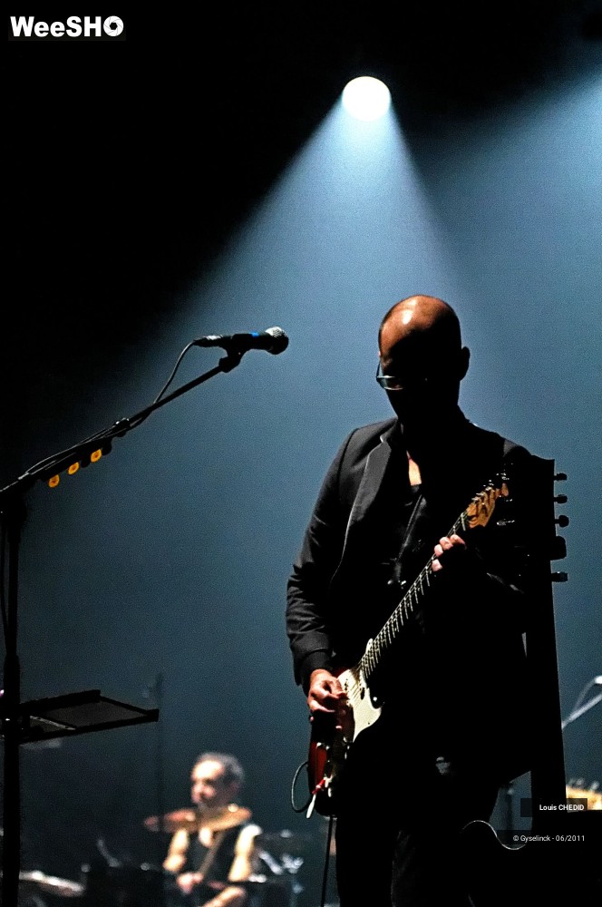 26/37 photos du spectacle Louis CHEDID