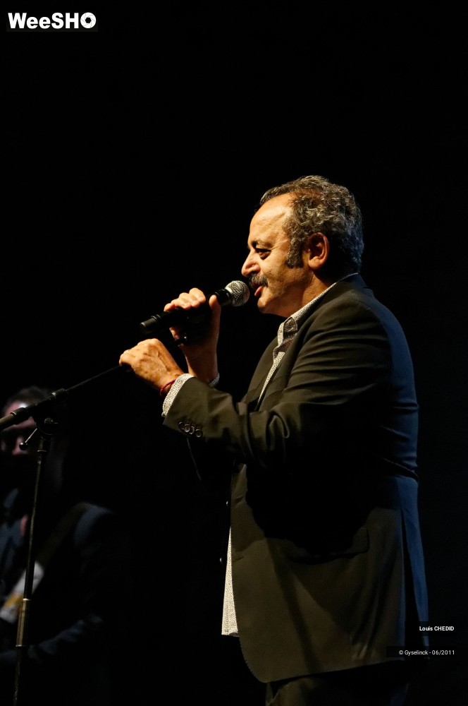 27/37 photos du spectacle Louis CHEDID
