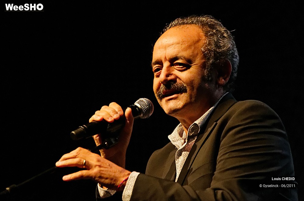28/37 photos du spectacle Louis CHEDID