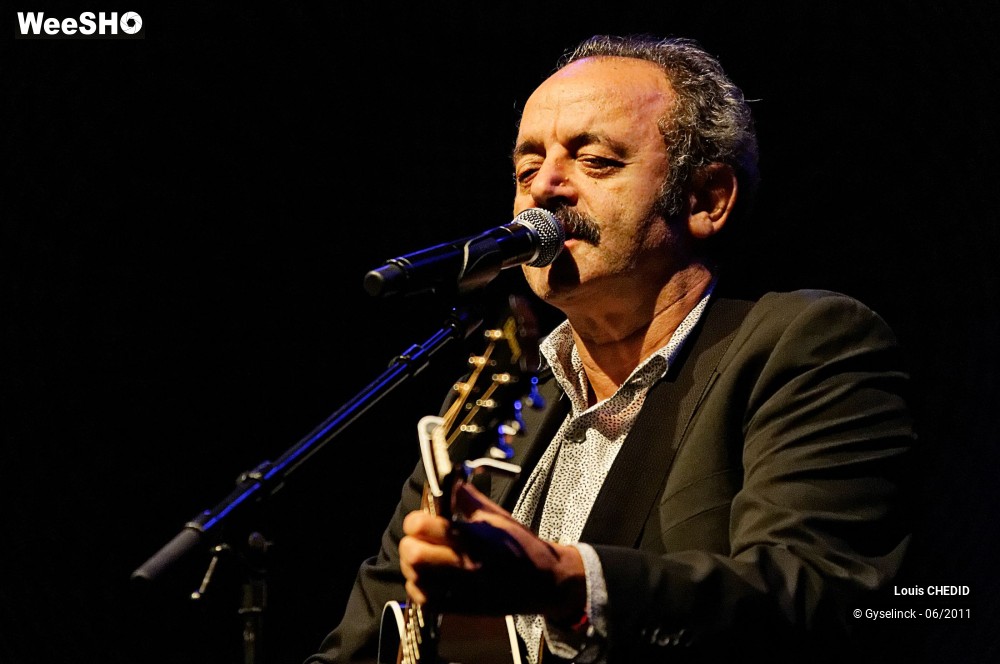 29/37 photos du spectacle Louis CHEDID